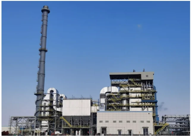 image.webp image.webp